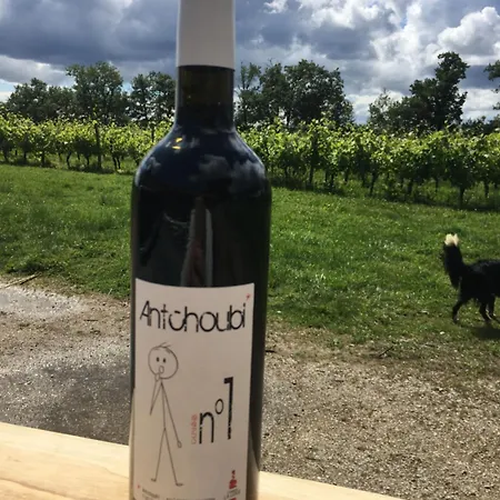 住宿加早餐酒店 Chateau La Loge