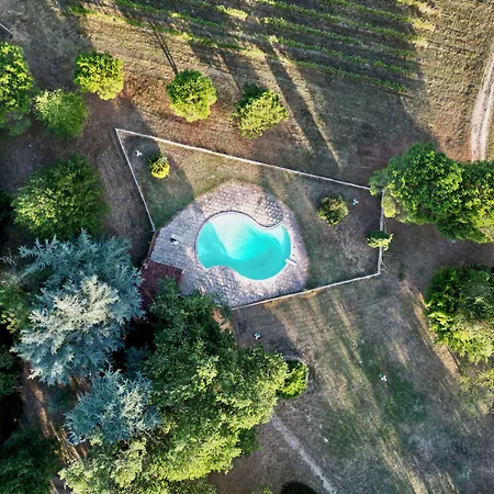Nocleg ze śniadaniem Chateau La Loge Villematier